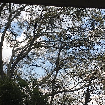 Villa Refugio En El Bosque De Agua En Cuernavaca Exterior foto