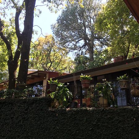 Villa Refugio En El Bosque De Agua En Cuernavaca Exterior foto