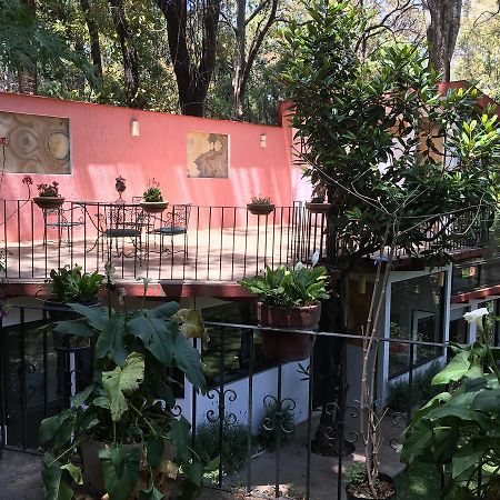 Villa Refugio En El Bosque De Agua En Cuernavaca Exterior foto