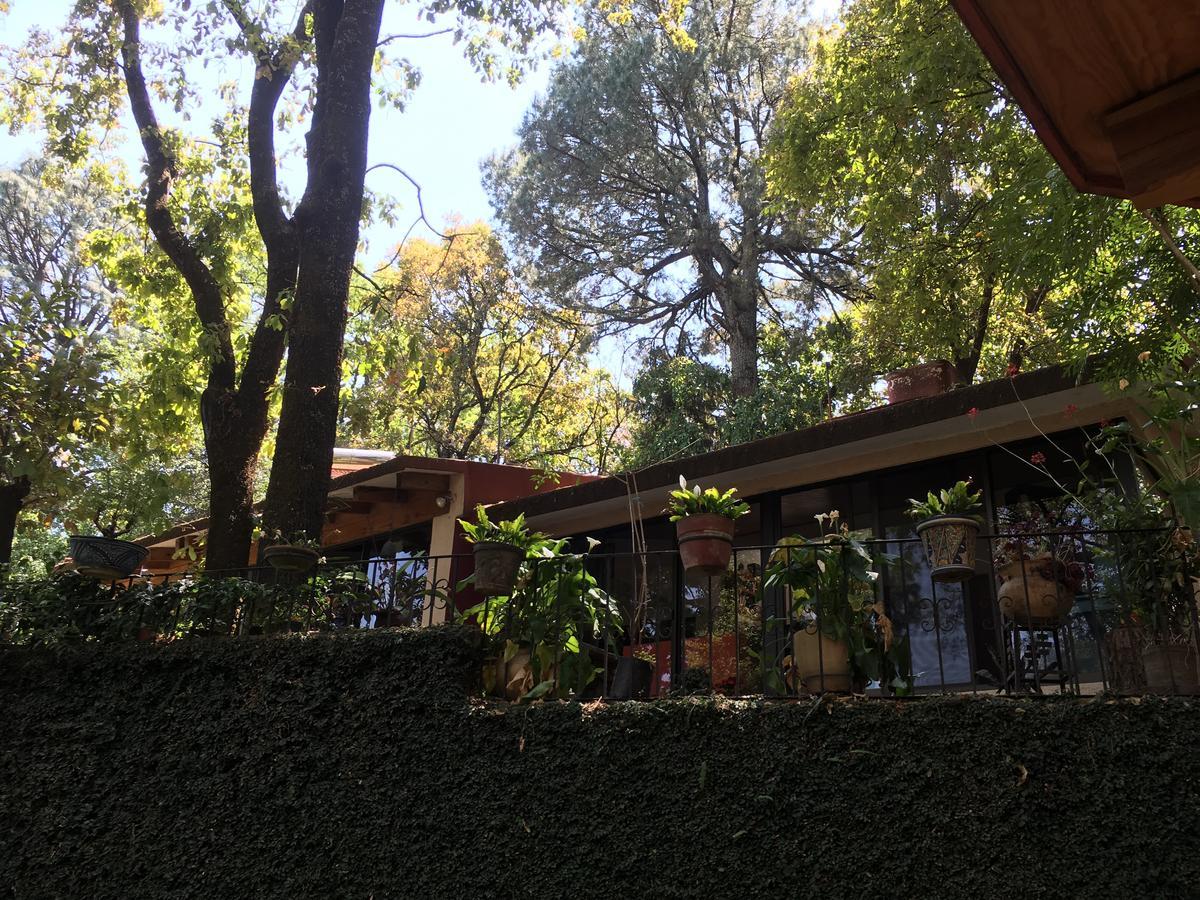 Villa Refugio En El Bosque De Agua En Cuernavaca Exterior foto